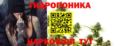дживик Кимры